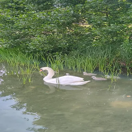 Дом отдыха Near Mausz, Kashubia Parchowo