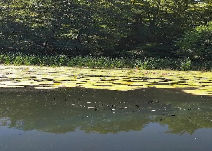 Near Mausz, Kashubia * Parchowo